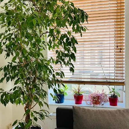 Grosses Und Helles Innenstadt - *