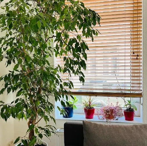 Grosses Und Helles Innenstadt - *